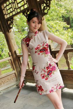 官婿美人图小说全文免费阅读